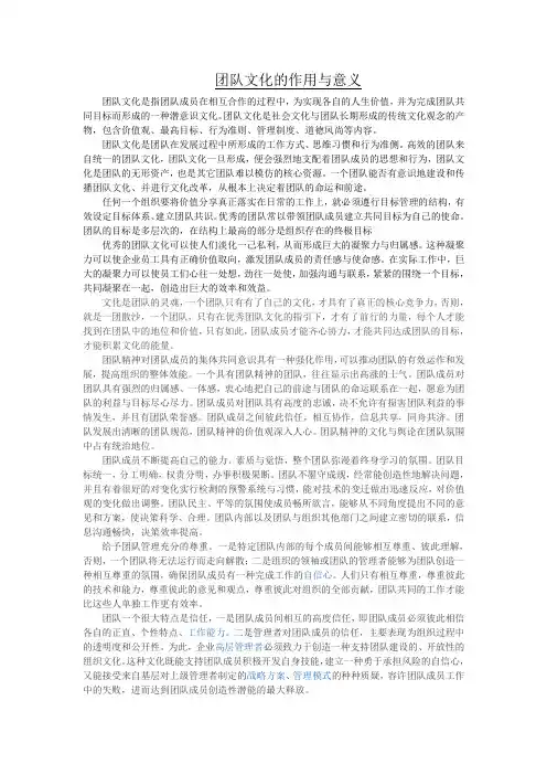 团队文化的作用与意义