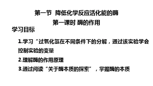 降低化学反应活化能的酶(第一课时)