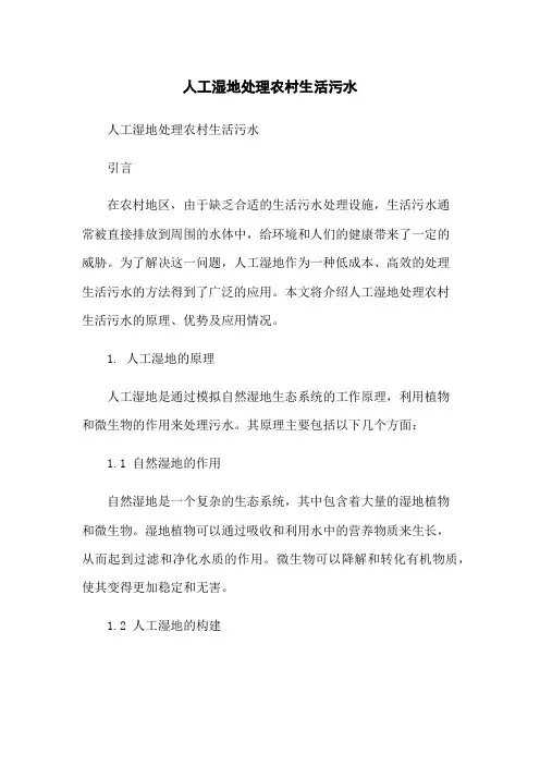 人工湿地处理农村生活污水