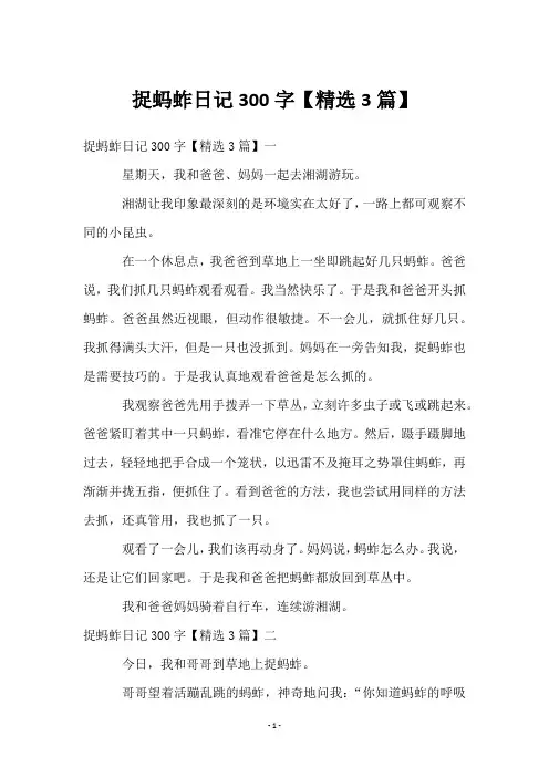 捉蚂蚱日记300字【3篇】