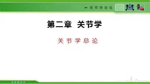 77关节学总论系统解剖学