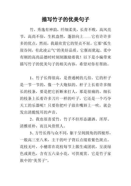 描写竹子的优美句子