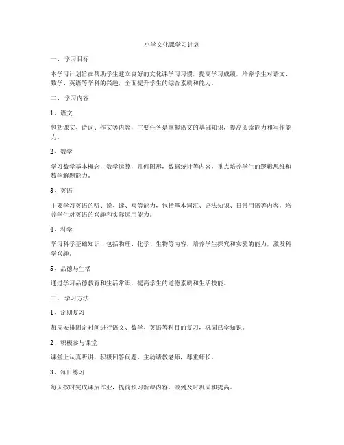 小学文化课学习计划
