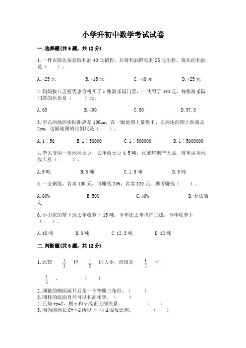 小学升初中数学考试试卷含完整答案(全优)