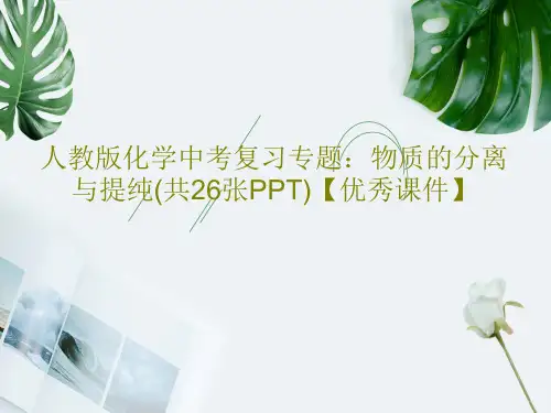 人教版化学中考复习专题：物质的分离与提纯(共26张PPT)【优秀课件】共29页