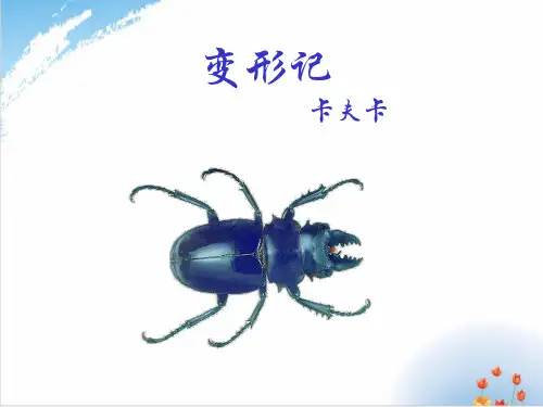 统编版高中语文必修下册《变形记》(节选62