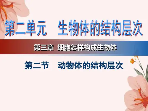 2.2.2 动物体的结构层次课件 生物七年级上册