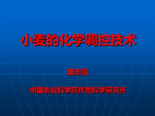 小麦的化学调控技术