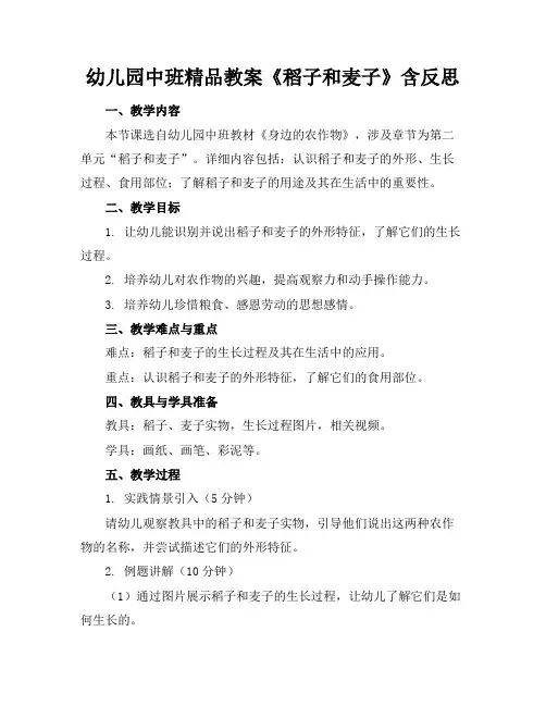 幼儿园中班精品教案《稻子和麦子》含反思