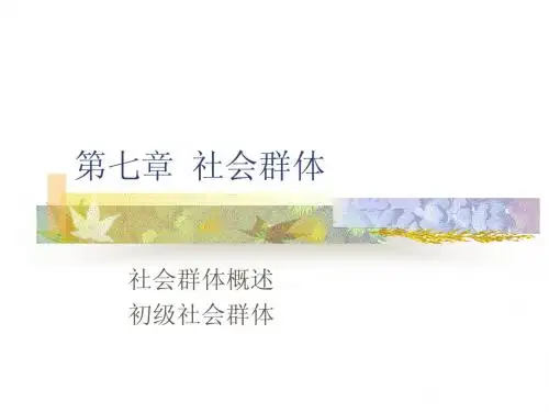 社会群体