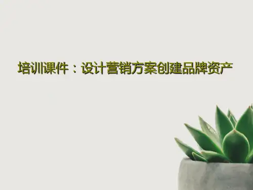 培训课件：设计营销方案创建品牌资产24页PPT