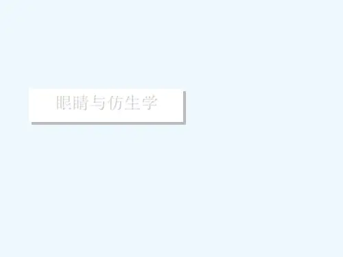 语文版中职语文(拓展模块)第5课《眼睛与仿生学》ppt课件2