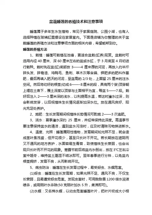 盆栽睡莲的养殖技术和注意事项