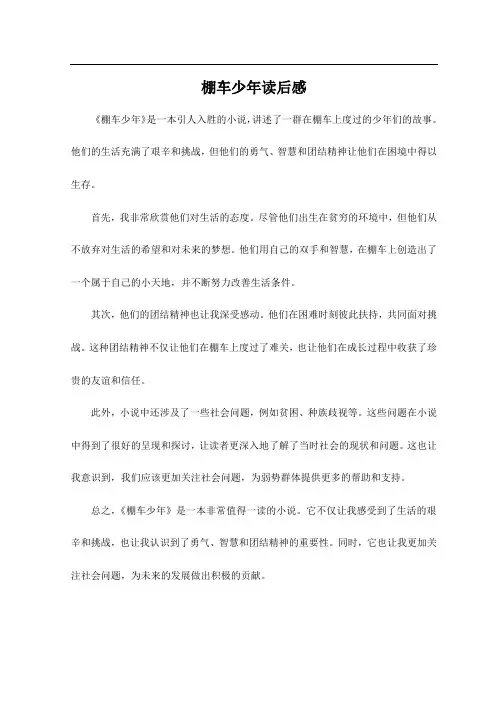 棚车少年读后感