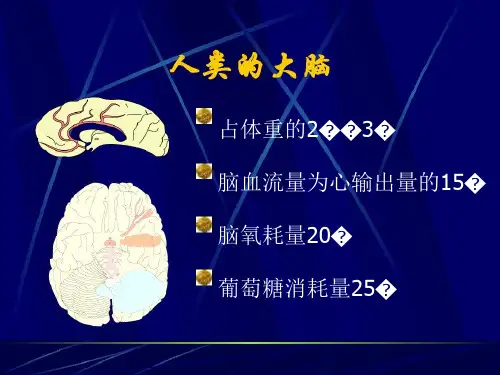 老年痴呆 PPT课件
