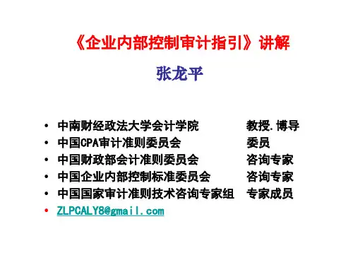 企业内部控制审计指引讲解(精)