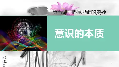 高中政治人教版必修四生活与哲学5.1 意识的本质 课件