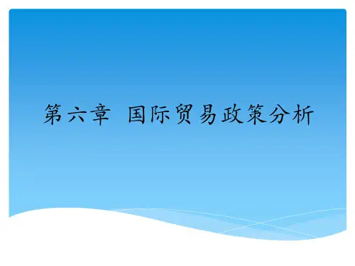 6国际贸易政策分析