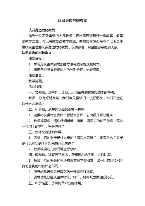 认识身边的树教案