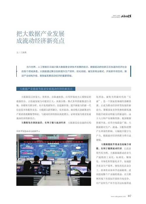 把大数据产业发展成流动经济新亮点
