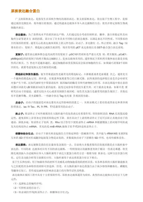 原核表达融合蛋白