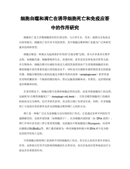 细胞自噬和凋亡在诱导细胞死亡和免疫应答中的作用研究