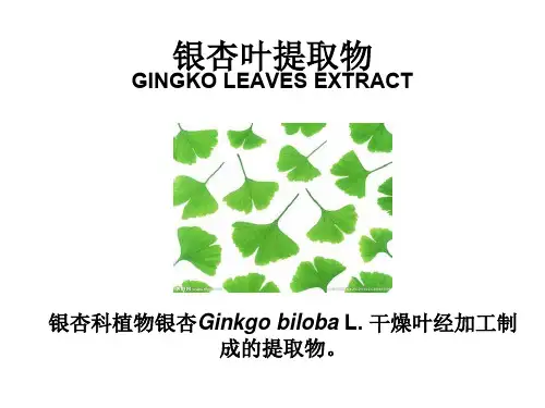 银杏叶提取物.ppt