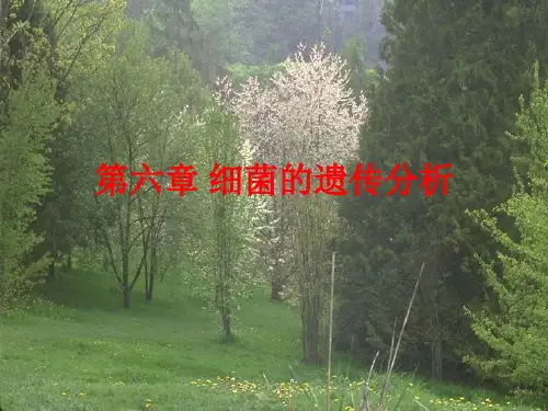 细菌的遗传分析-1