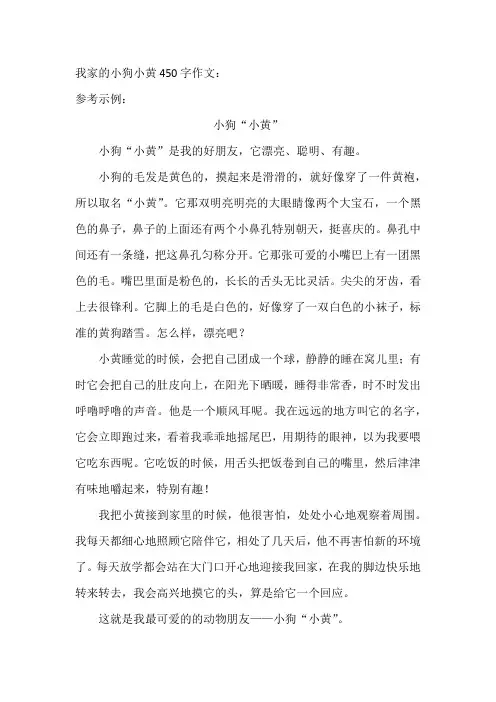 我家的小狗小黄450字作文