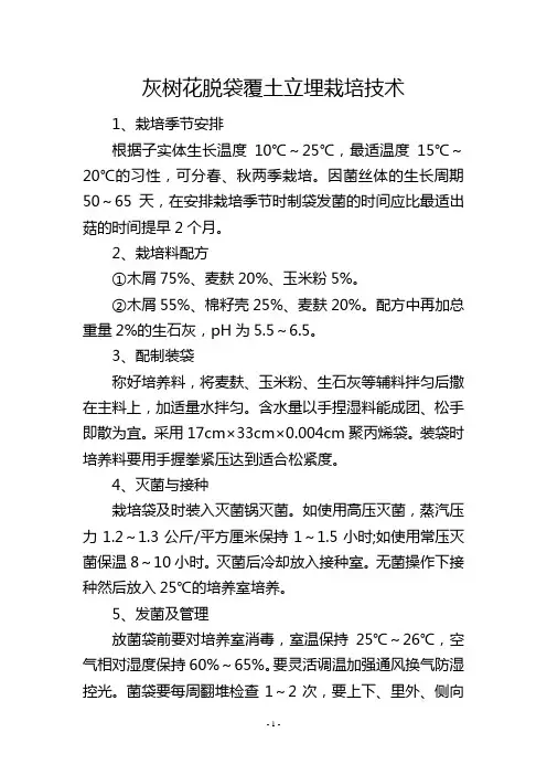 灰树花脱袋覆土立埋栽培技术