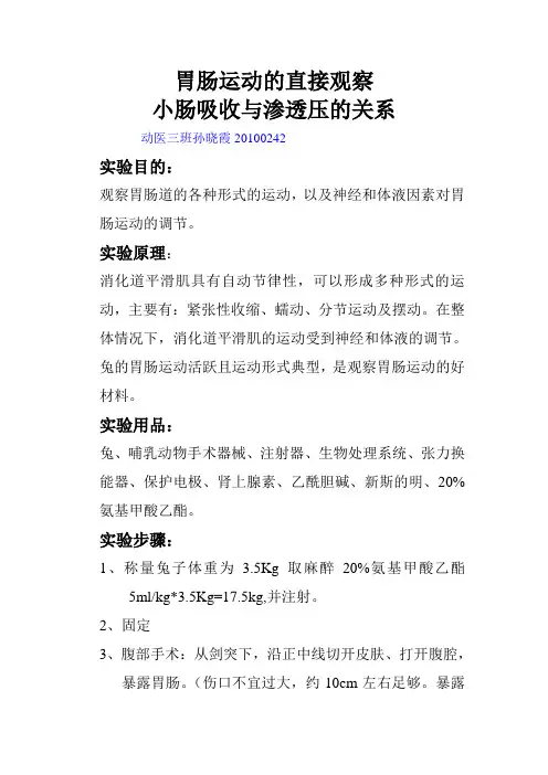 胃肠道的观察