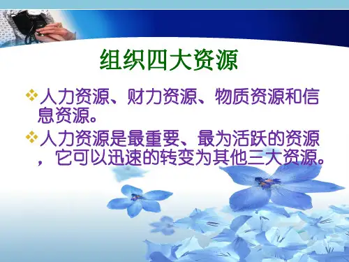 卫生人力资源管理