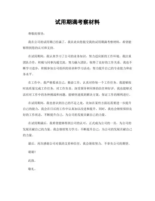 试用期满考察材料