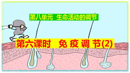 高中生物体液免疫与细胞免疫课件