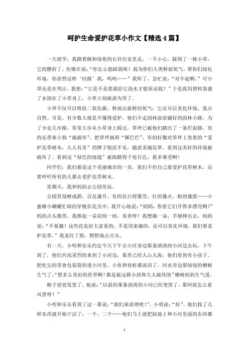 精选呵护生命爱护花草小作文【4篇】