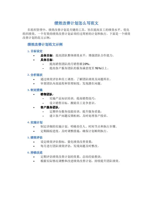 绩效改善计划怎么写范文