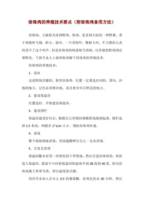 珍珠鸡的养殖技术要点(附珍珠鸡食用方法)