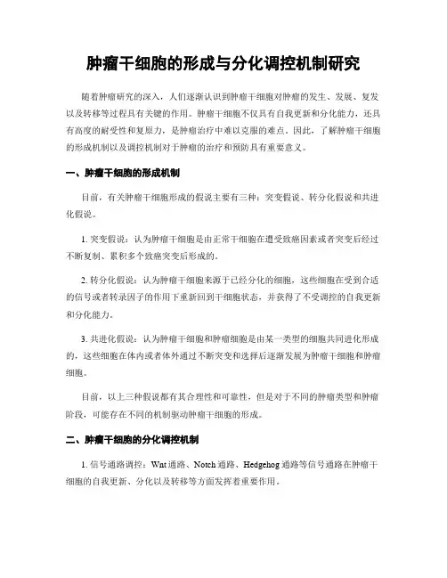 肿瘤干细胞的形成与分化调控机制研究