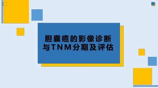 胆囊癌的影像诊断与TNM分期及评估