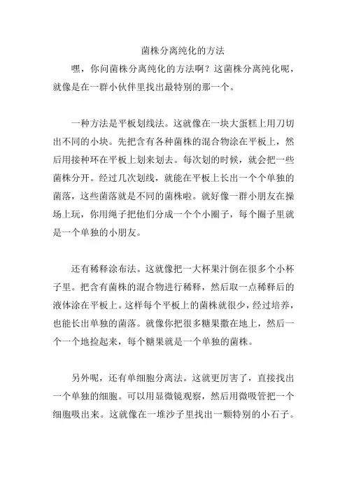 菌株分离纯化的方法