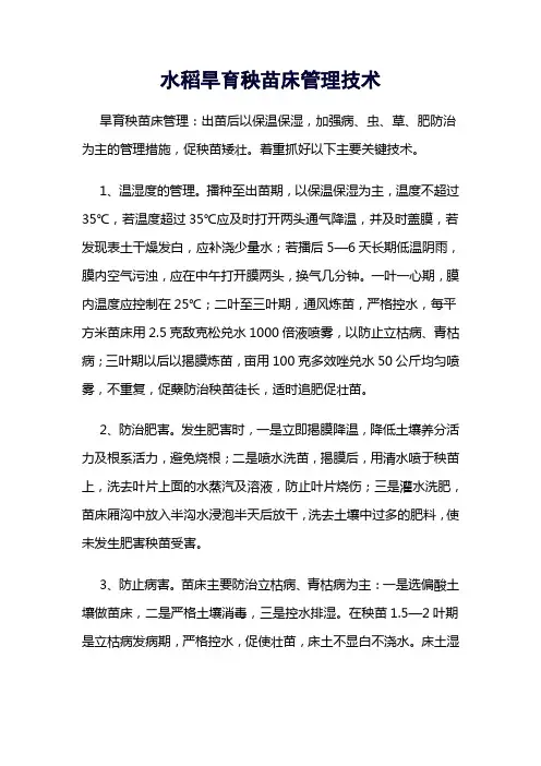 水稻旱育秧苗床管理技术