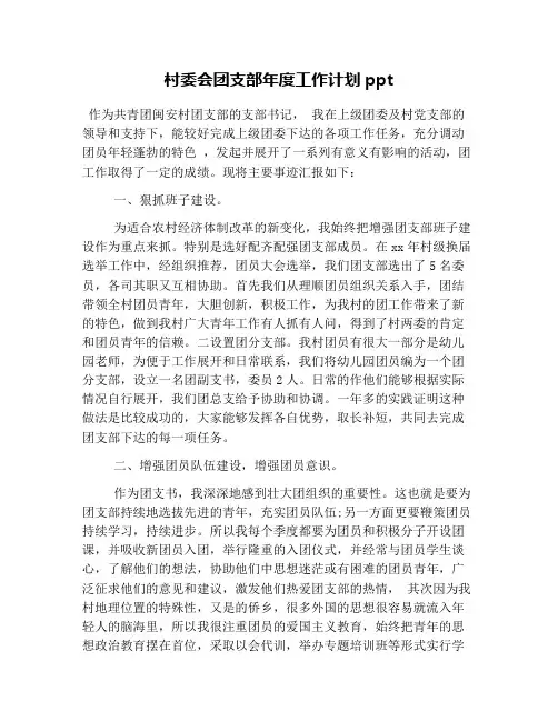 村委会团支部年度工作计划ppt