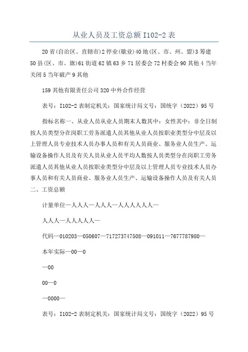 从业人员及工资总额I102-2表
