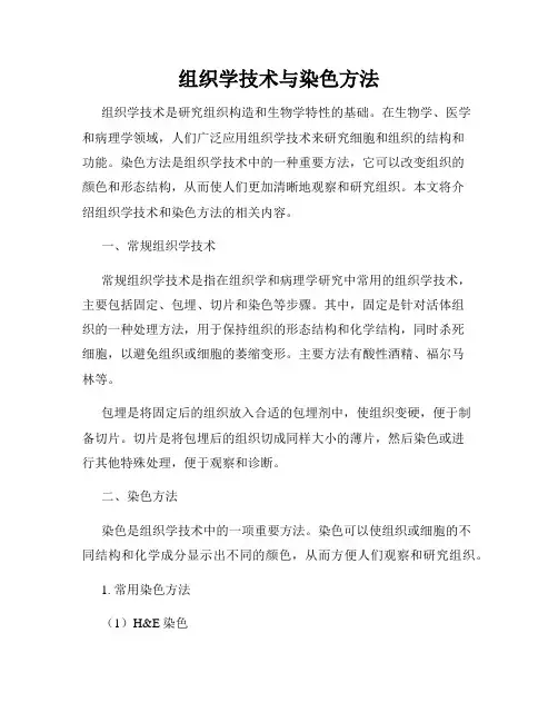 组织学技术与染色方法