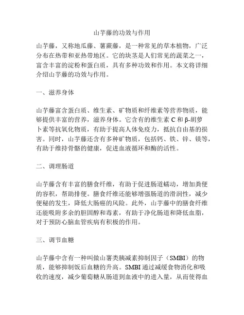 山芋藤的功效与作用