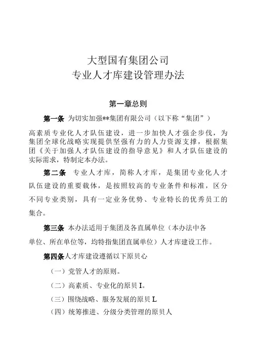大型国有集团公司专业人才库建设管理办法