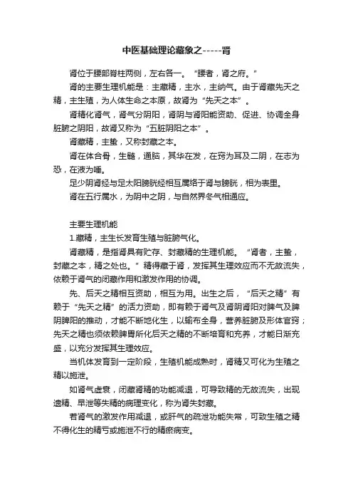 中医基础理论藏象之-----肾
