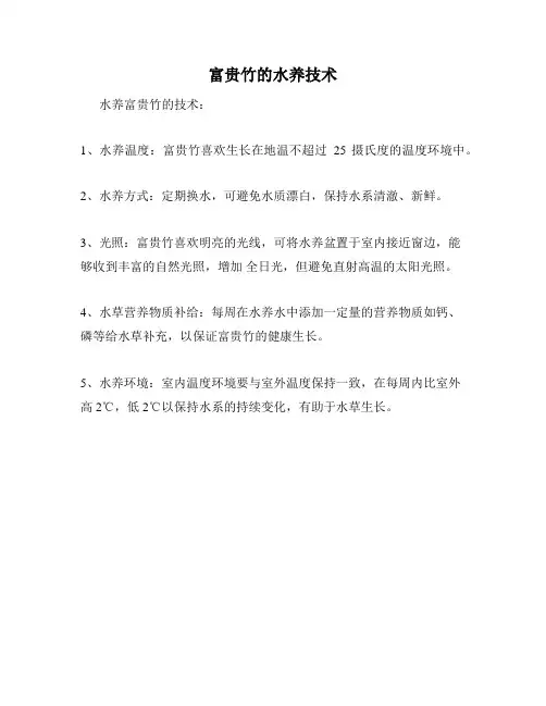 富贵竹的水养技术