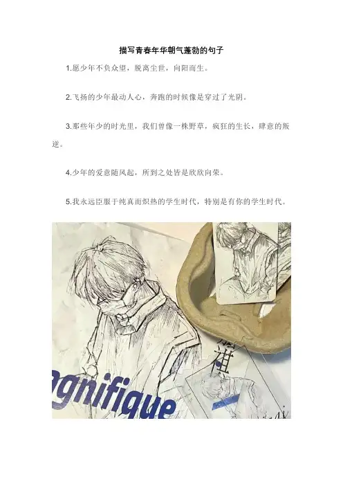 描写青春年华朝气蓬勃的句子