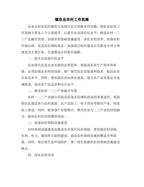 镇农业农村工作思路
